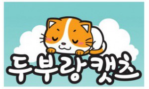 Tofu and cats